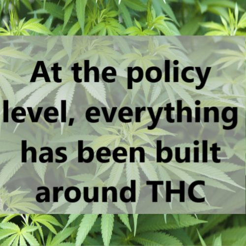 At the policy level, everything has been built around THC